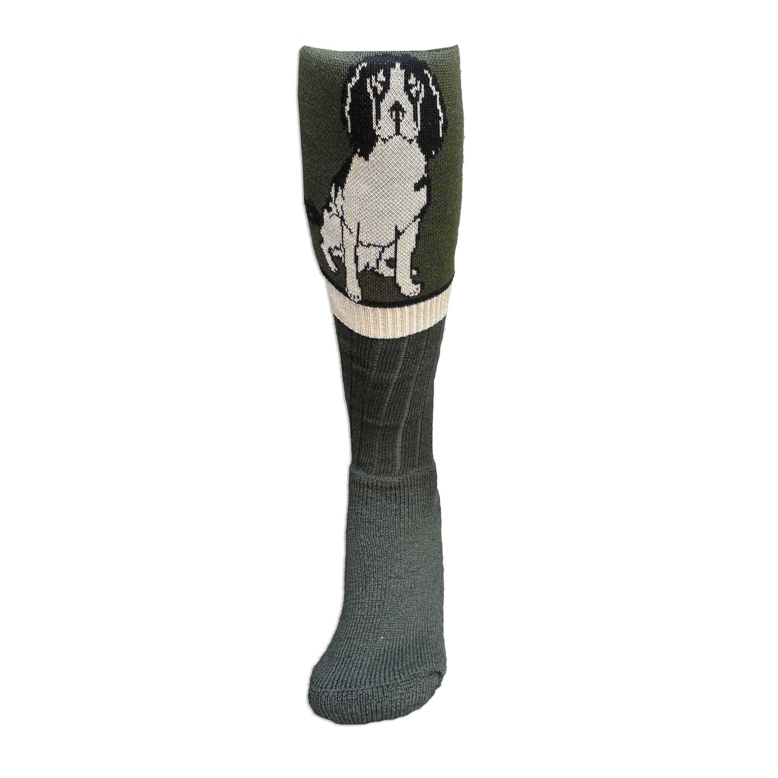 Waring Brooke Springer Spaniel Socks image 1